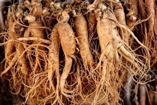 Wild American Ginseng (80g)
