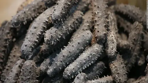 Sea Cucumber Slices (100g)