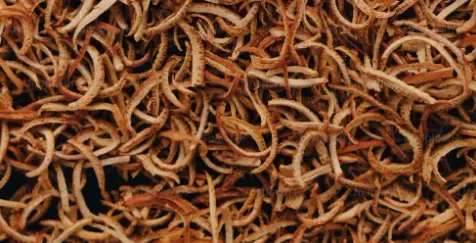 Chen Pi (Aged Tangerine Peel) (100g)